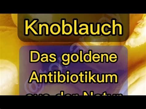 Das Goldene Antibiotikum Aus Der Natur Diy Tips Immunsystem Fyp