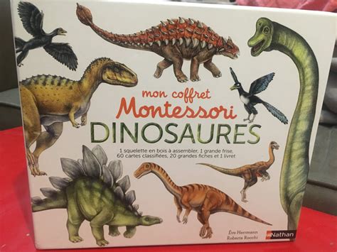 Mon Coffret Montessori Dinosaures Dinosaure Histoire Des Dinosaures Livret