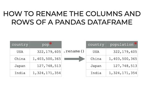 Python Pandas Dataframe Rename Column Names Infoupdate Org