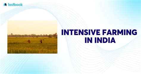 Intensive Farming in India: Know Characteristics, Types, Examples