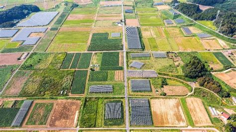 農電共生神話！全球最大營農型光電案場，1年發電可供2千戶家庭使用，賣電收入直逼3億 今周刊 Line Today