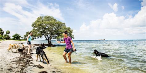 7 Tampa Hidden Gems to Check Out in 2020 - Tampa Magazines