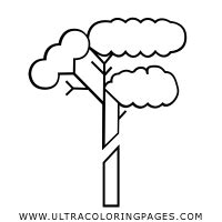 Dibujo De Deforestaci N Para Colorear Ultra Coloring Pages