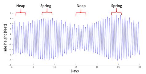 Tidal Forces — Non Linear Plasma