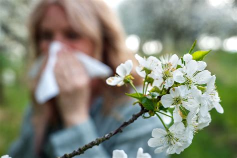 Katar Sienny Leczenie Jak Si Objawia Katar Alergiczny