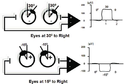 A sample ElectroOculoGram (EOG). | Download Scientific Diagram