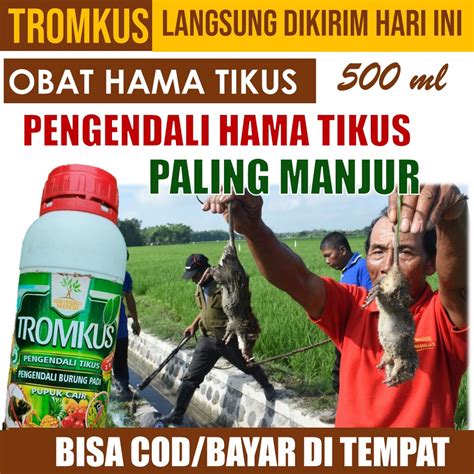 Jual TERLARIS TROMKUS Pembasmi Hama Tikus Dan Burung Pipit Obat