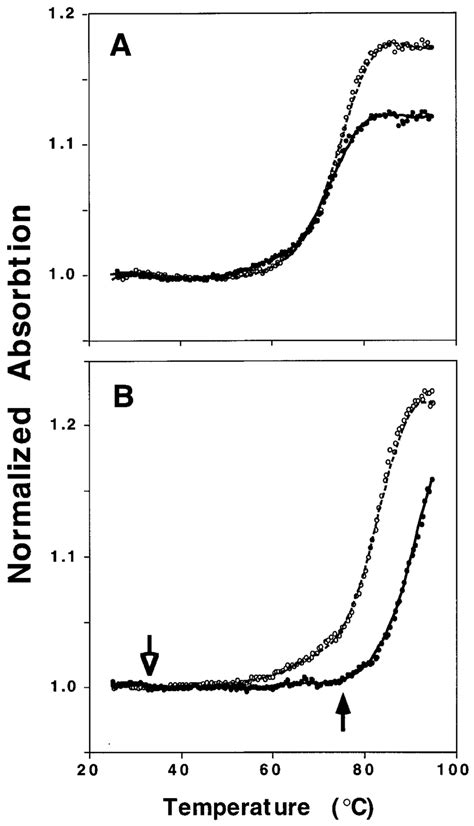 Dna Melting Curves For The Wt Triplex And Duplex Oligonucleotides