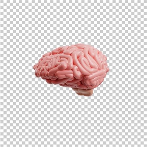 Icono 3d Del Cerebro Archivo PSD Premium