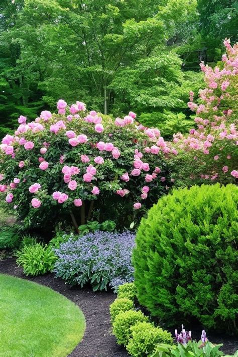 11 Best Flowering Shrubs For Zone 5