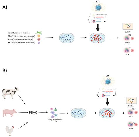 Evaluation of Immune Nanoparticles for Rapid and Non-Specific