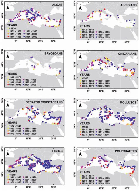 Spatio Temporal Distribution Maps For 8 Taxonomic Groups In The Download Scientific Diagram