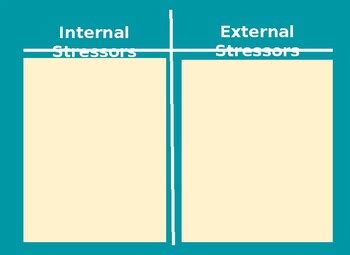 Internal vs External Stressors by Education and Training Fun | TPT