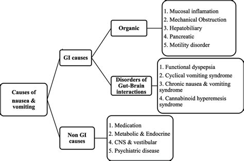 Causes of chronic nausea and vomiting (CNV). | Download Scientific Diagram