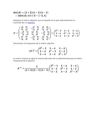 Calculo De La Inversa Por Determinantes Pdf