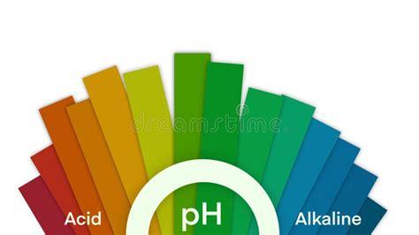 Ph Scale Diagram, Ph Scale Vector Graphic, Acid To Base, PH Scale ...