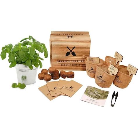 Kit D Herbes Aromatiques Cultivez Votre Propre Jardin Urbain Jardin