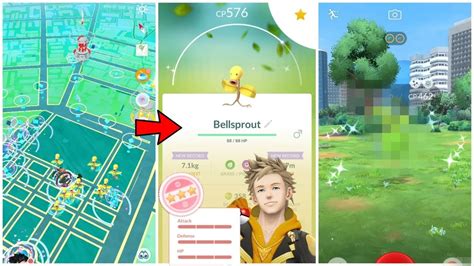 Pok Mon Go Bellsprout Community Day Youtube