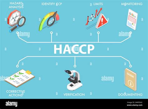 D Isometric Flat Vector Illustration Of Hazard Analysis And Critical