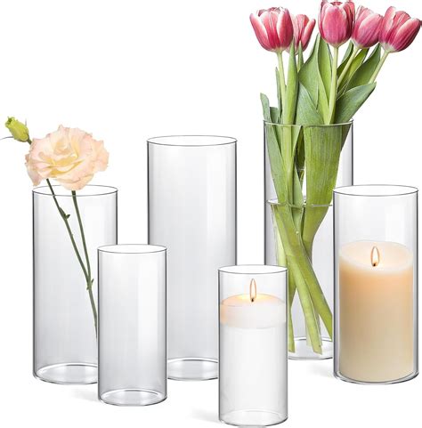 Amazon de ComSaf Vase Glas 6 Stück Glasvase Kleine Vasen für