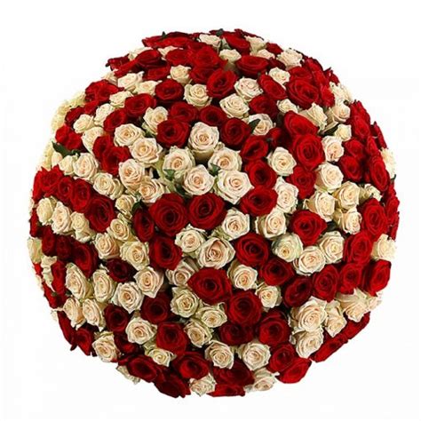 Impressive bouquet of roses - extra large mix of 50, 100, 200 red and ...