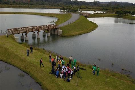 Estado Vai Repovoar Rios Do Paran Mais Milh Es De Peixes