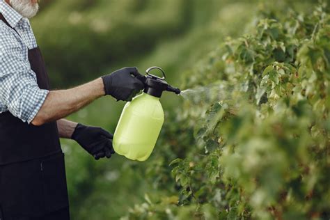 Capsulas De Seguridad Seguridad Con Pesticidas La Cantera