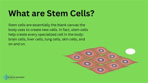 Stem Cells for Cancer Therapy