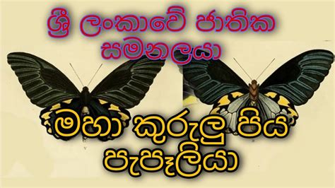 ශර ලකව ජතක සමනලය ශර ලක මහකරලපය පපලය sri lankan