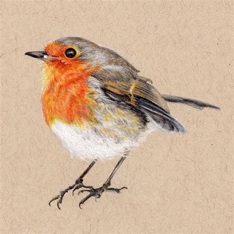 Christmas Robin (First Edition) – Rambillo Marketplace