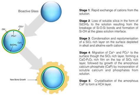 Bioactive Nanocomposites For Tissue Repair And Regeneration A Review