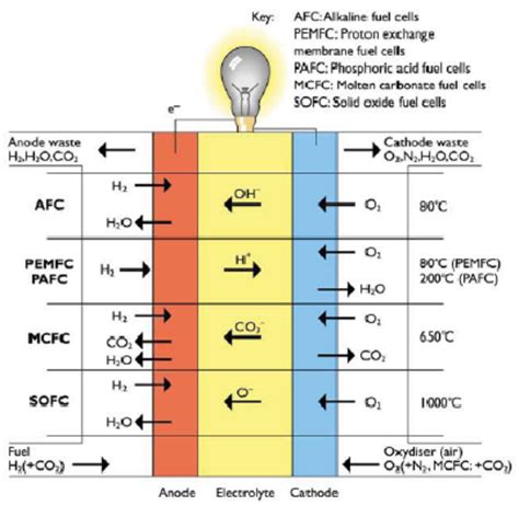 Chemical Process For Different Fuel Cells Download Scientific Diagram