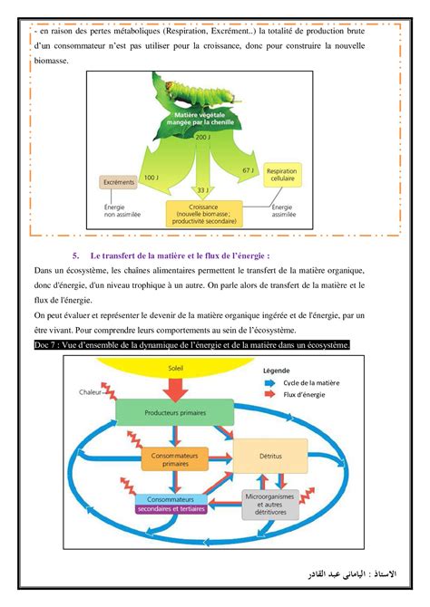 Flux De La Mati Re Et De L Nergie Dans L Cosyst Me Cours Alloschool