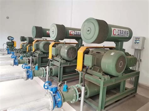 Kw High Power Three Lobe Roots Blower China Waste Water Treatment