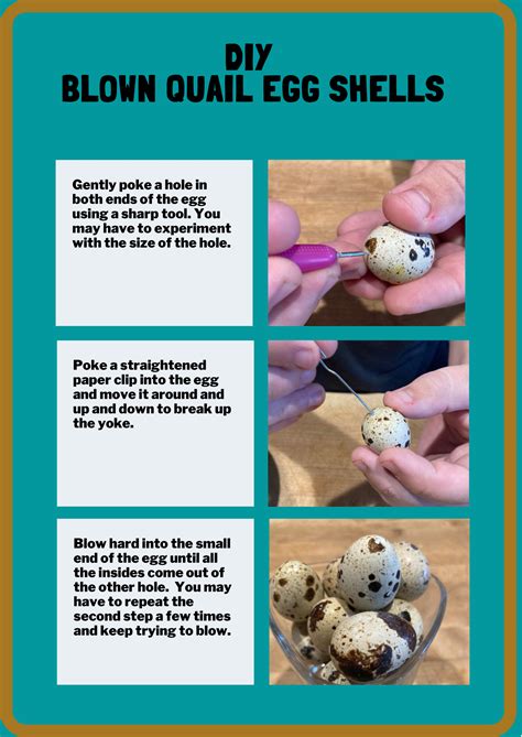 The Benefits Of Quail Eggs Artofit