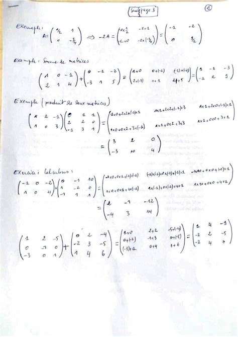 SOLUTION Les Matrices Correction Des Exemples Du Cour Algebre Studypool