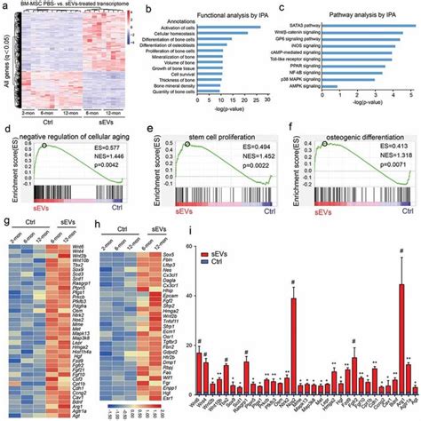 Identification Of Bmmscs Transcriptome Changes After Hescsevs