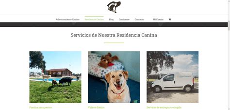 6 Mejores Residencias Caninas De Madrid Junio 2024