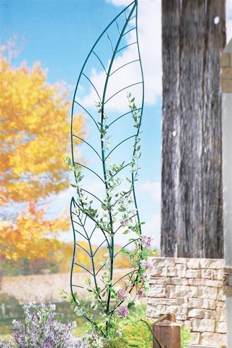 These Metal Garden Trellises Are Beautiful With Or Without Plants