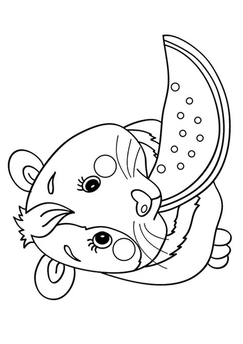 Guinea Pig: Coloring Pages & Books - 100% FREE and printable!