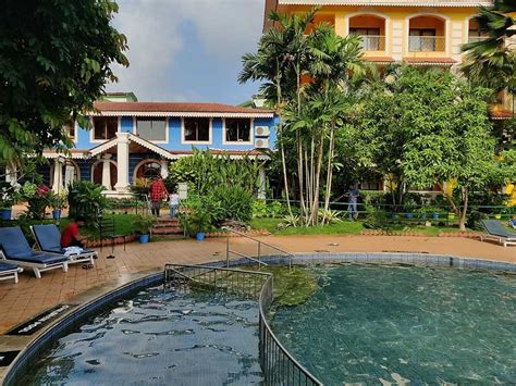 Acron Candolim Regina 𝗕𝗢𝗢𝗞 Goa Hotel 𝘄𝗶𝘁𝗵 ₹𝟬 𝗣𝗔𝗬𝗠𝗘𝗡𝗧