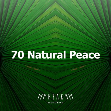 Natural Peace Album By Mother Nature Sound Fx Spotify