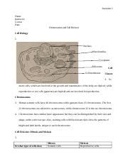 chromosomes and cell division.docx - Surname 1 Name Instructor Course ...