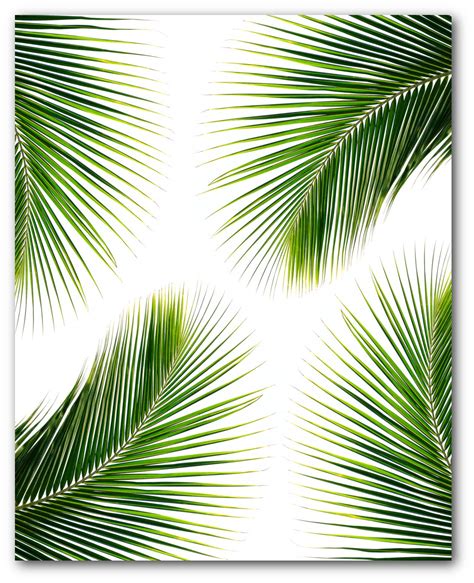 Palm Leaf Print Abstract Tropical Leaf Summer Art Tropical | Etsy