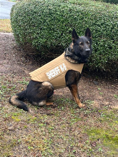 Floyd County Sheriffs Office K9 Amigo Receives Body Armor Allongeorgia