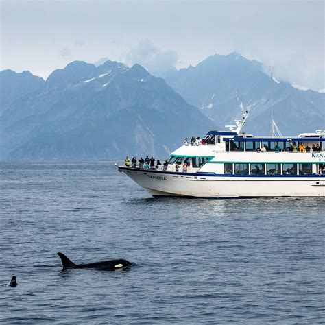 Kenai Fjords Tours (Seward) - All You Need to Know BEFORE You Go