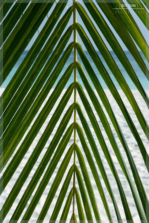 Elevation of Velana International Airport, Airport Main Rd, Maldives