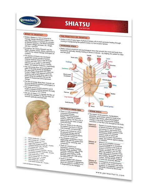 Shiatsu Study Guide - Quick Reference Resource