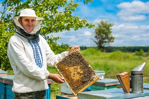 O apicultor está trabalhando abelhas e colméias no apiário abelhas