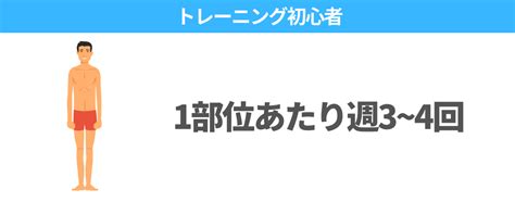 筋トレは週何回がベスト？科学的に正しいトレ頻度を徹底解説 ナイトプロテインplus